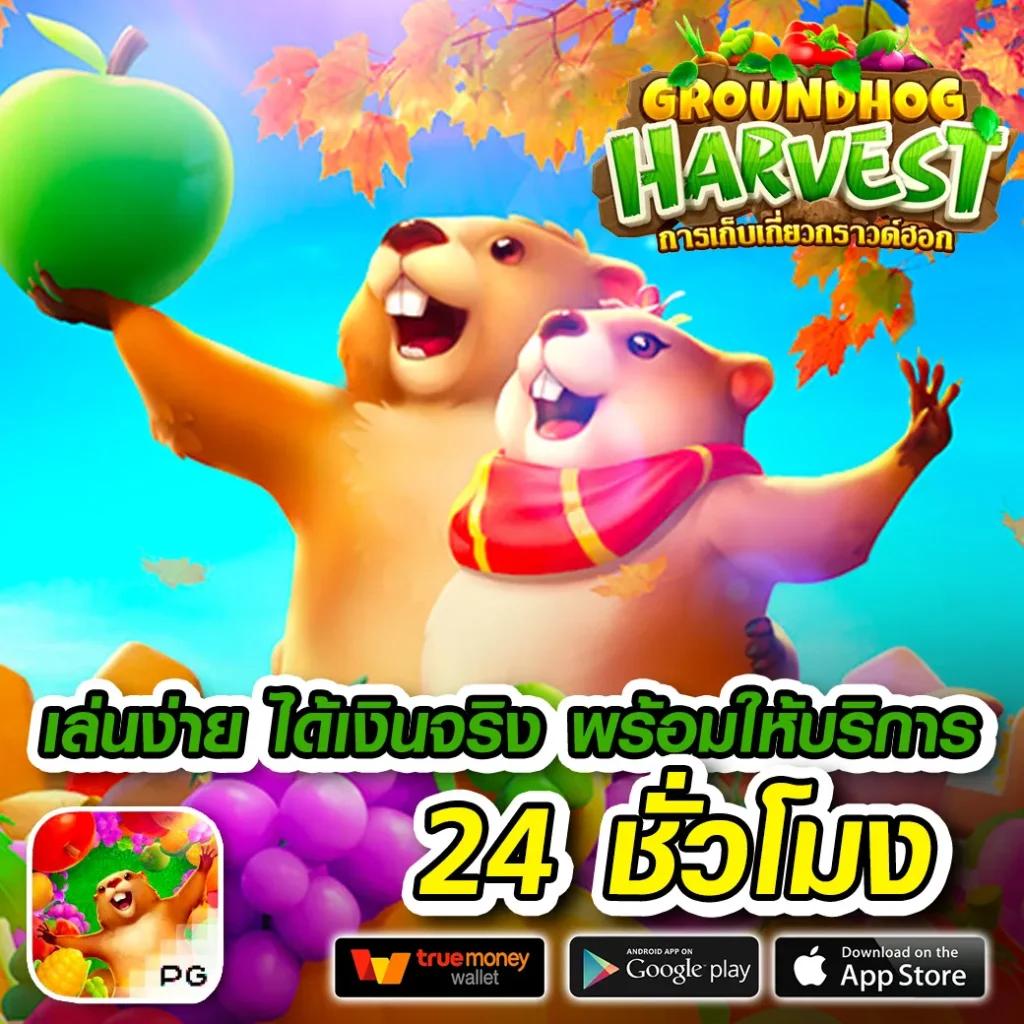 ib88 เว็บตรง สล็อต ฝากถอนออโต้ ไม่ผ่านเอเย่นต์ 2026